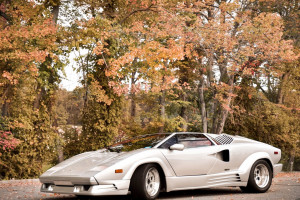 德约科维奇惊险逆转！跌宕起伏的胜利，球迷心跳加速！