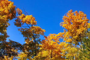 战术革命！跑动数据如何改变了足球教练的“排兵布阵”